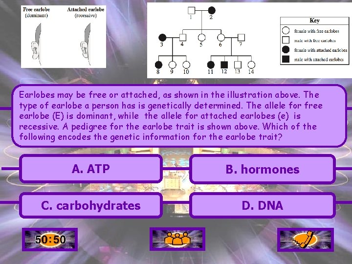 Earlobes may be free or attached, as shown in the illustration above. The type Earlobes may be free or attached, as shown in the illustration above. The type