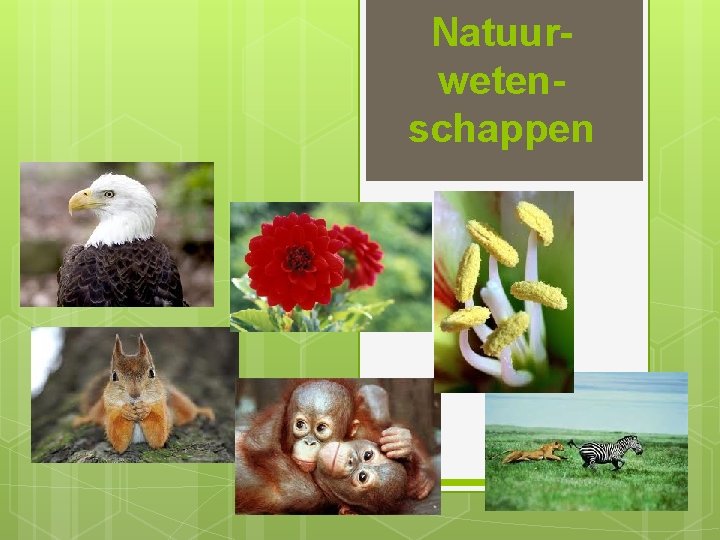 Natuurwetenschappen Natuurwetenschappen