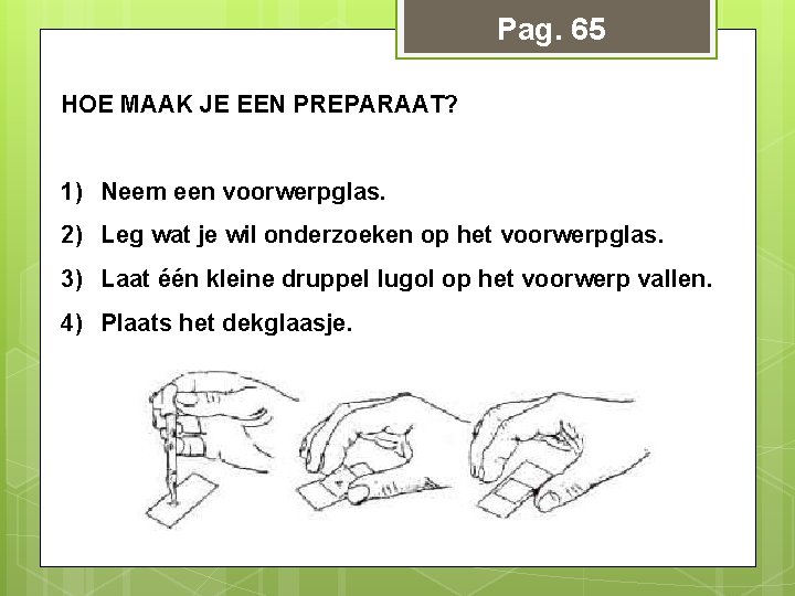Pag. 65 HOE MAAK JE EEN PREPARAAT? 1) Neem een voorwerpglas. 2) Leg wat Pag. 65 HOE MAAK JE EEN PREPARAAT? 1) Neem een voorwerpglas. 2) Leg wat