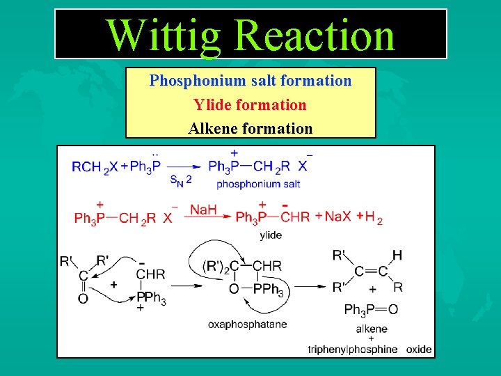 Wittig Reaction Phosphonium salt formation Ylide formation Alkene formation 