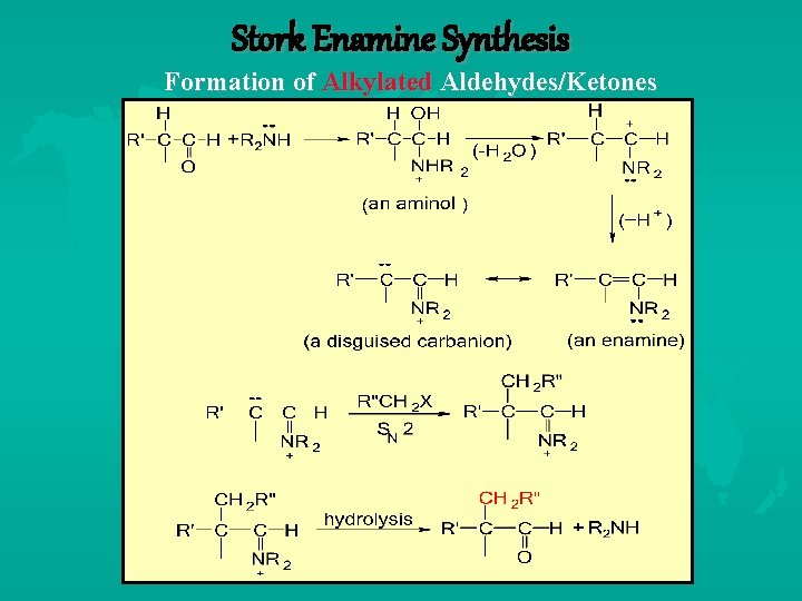 Stork Enamine Synthesis Formation of Alkylated Aldehydes/Ketones 