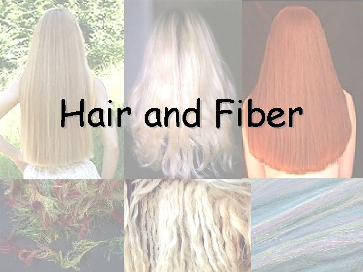 Hair and Fiber 