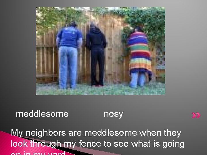 meddlesome nosy My neighbors are meddlesome when they look through my fence to see