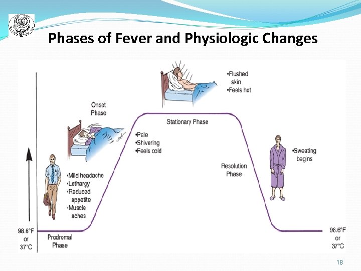 Phases of Fever and Physiologic Changes 18 