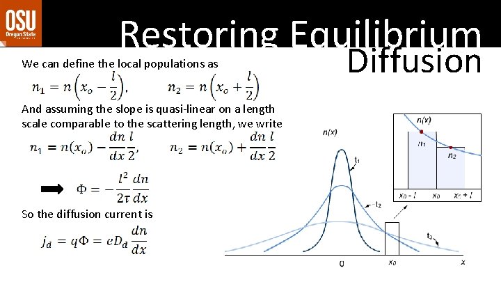 Restoring Equilibrium We can define the local populations as And assuming the slope is Restoring Equilibrium We can define the local populations as And assuming the slope is
