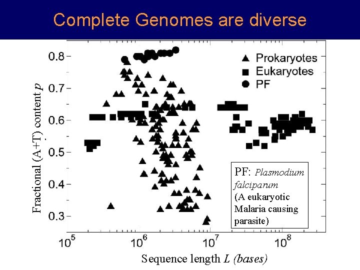 Fractional (A+T) content p Complete Genomes are diverse PF: Plasmodium falciparum (A eukaryotic Malaria