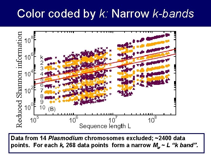 Reduced Shannon information Color coded by k: Narrow k-bands Data from 14 Plasmodium chromosomes