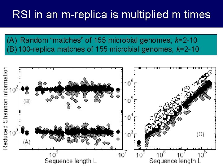 RSI in an m-replica is multiplied m times (A) Random “matches” of 155 microbial