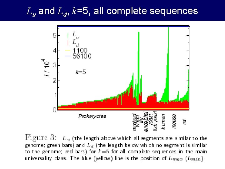 Lu and Ld, k=5, all complete sequences 