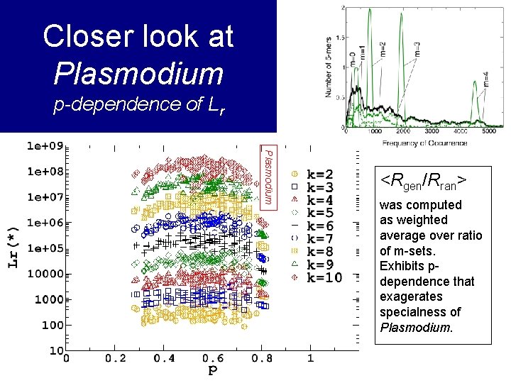 Closer look at Plasmodium p-dependence of Lr Plasmodium <Rgen/Rran> was computed as weighted average