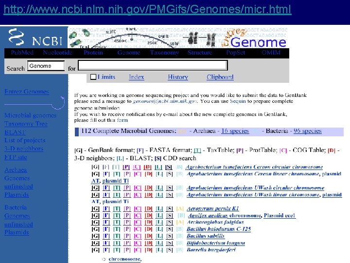 http: //www. ncbi. nlm. nih. gov/PMGifs/Genomes/micr. html 
