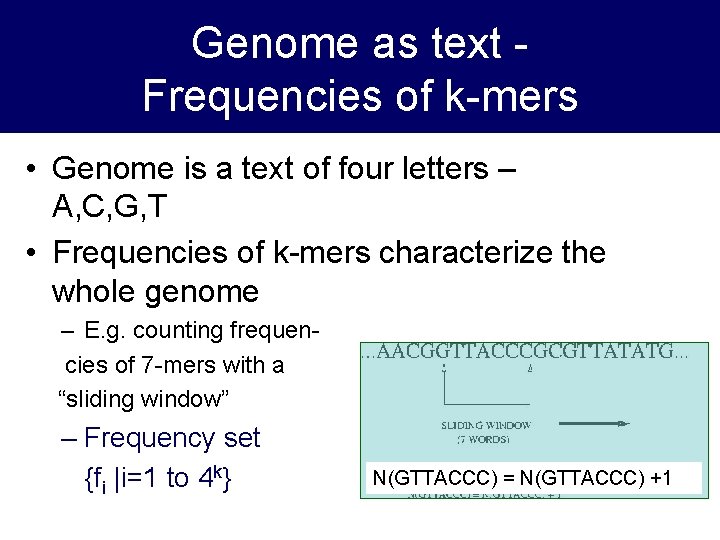 Genome as text Frequencies of k-mers • Genome is a text of four letters