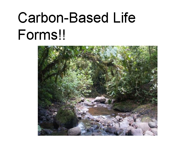 Carbon-Based Life Forms!! 