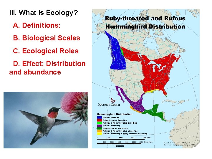 III. What is Ecology? A. Definitions: B. Biological Scales C. Ecological Roles D. Effect: