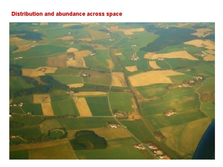 Distribution and abundance across space 