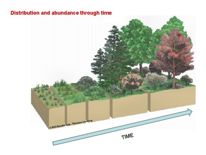 Distribution and abundance through time TIME 