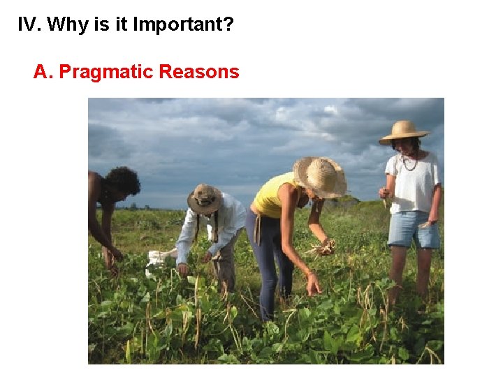 IV. Why is it Important? A. Pragmatic Reasons 