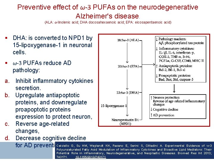 Preventive effect of ω-3 PUFAs on the neurodegenerative Alzheimer's disease. (ALA: α-linolenic acid; DHA