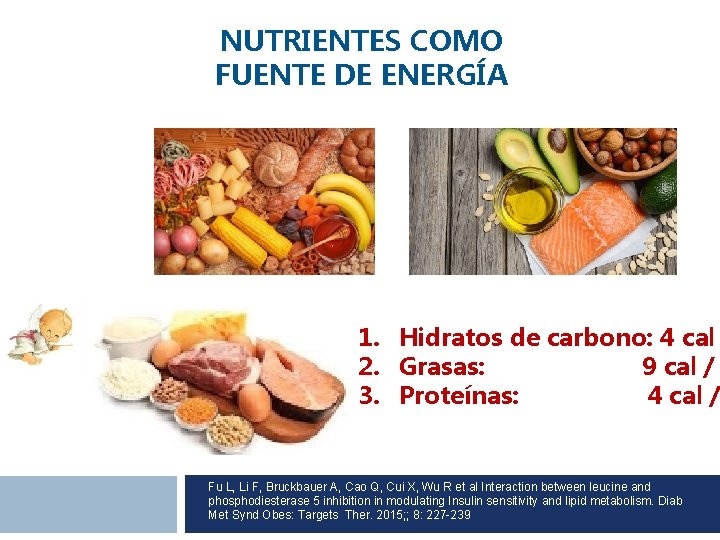 NUTRIENTES COMO FUENTE DE ENERGÍA 1. Hidratos de carbono: 4 cal 2. Grasas: 9