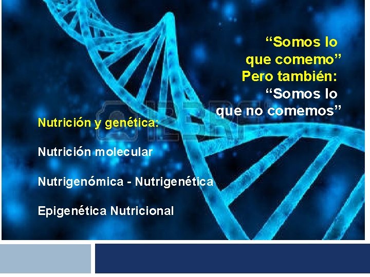 Nutrición y genética: Nutrición molecular Nutrigenómica - Nutrigenética Epigenética Nutricional “Somos lo que comemo”