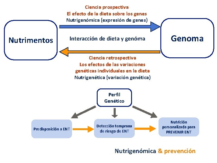 Ciencia prospectiva El efecto de la dieta sobre los genes Nutrigenómica (expresión de genes)