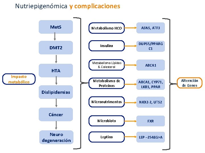 Nutriepigenómica y complicaciones Impacto metabólico Met. S Metabolismo HCO ASNS, ATF 3 DMT 2