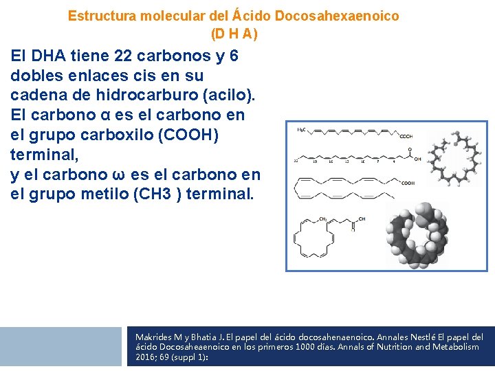 Estructura molecular del Ácido Docosahexaenoico (D H A) El DHA tiene 22 carbonos y