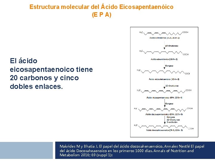 Estructura molecular del Ácido Eicosapentaenóico (E P A) El ácido eicosapentaenoico tiene 20 carbonos