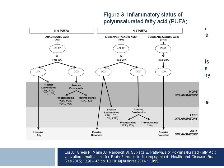 Figure 3. Inflammatory status of polyunsaturated fatty acid (PUFA) metabolites PUFAs mediate inflammatory responses
