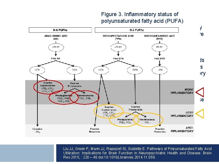 Figure 3. Inflammatory status of polyunsaturated fatty acid (PUFA) metabolites PUFAs mediate inflammatory responses