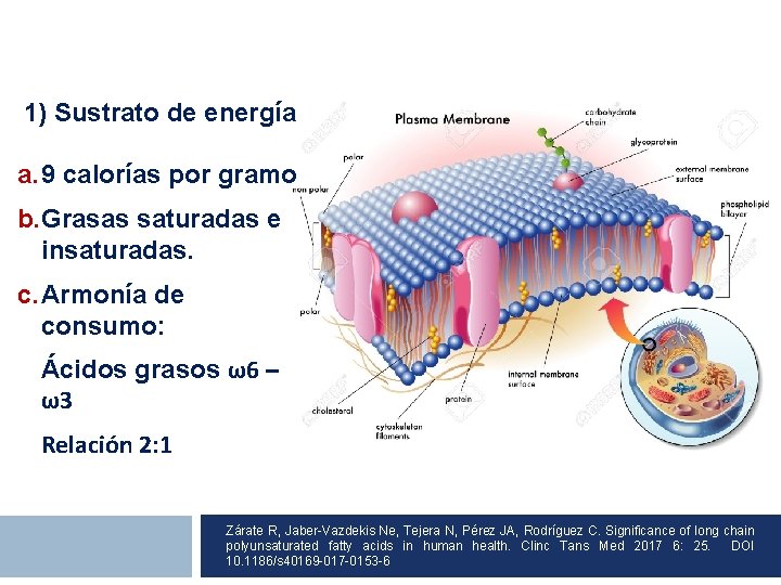  1) Sustrato de energía a. 9 calorías por gramo b. Grasas saturadas e