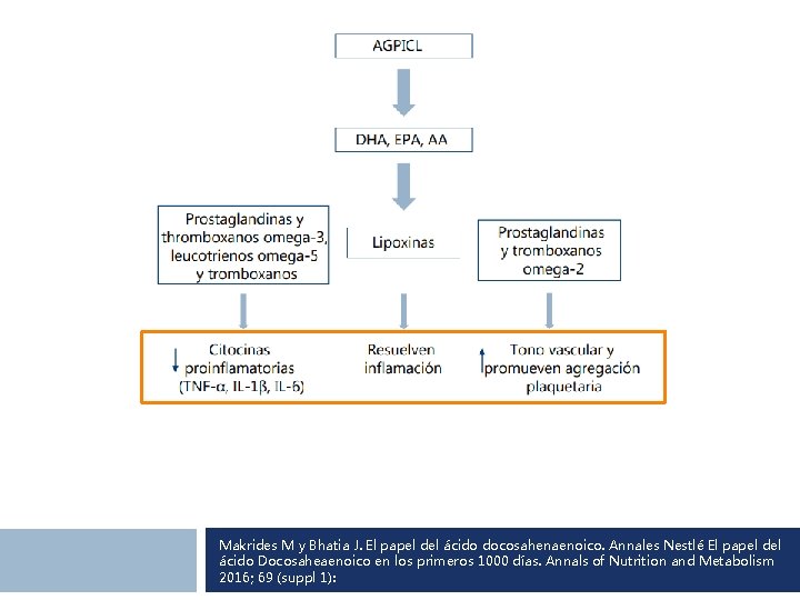 Makrides M y Bhatia J. El papel del ácido docosahenaenoico. Annales Nestlé El papel