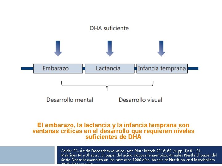 El embarazo, la lactancia y la infancia temprana son ventanas críticas en el desarrollo