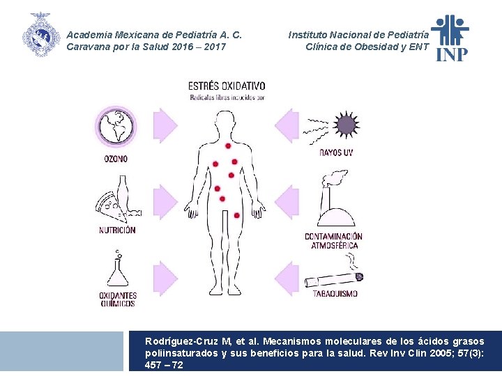 Academia Mexicana de Pediatría A. C. Caravana por la Salud 2016 – 2017 Instituto