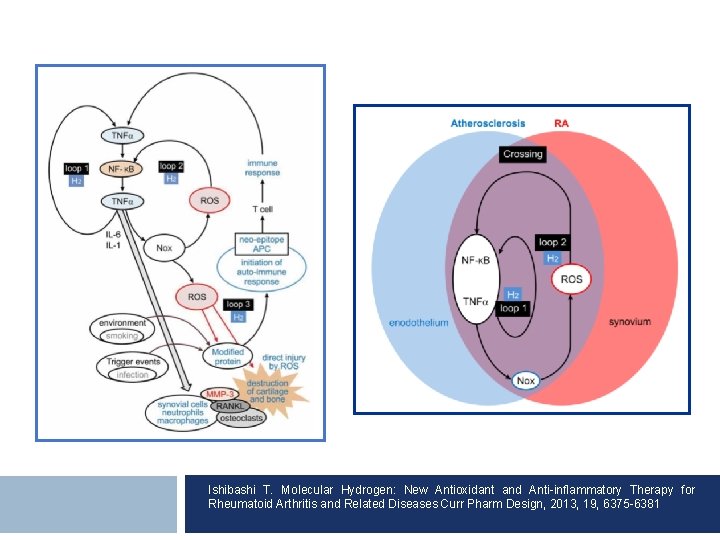 Ishibashi T. Molecular Hydrogen: New Antioxidant and Anti-inflammatory Therapy for Rheumatoid Arthritis and Related
