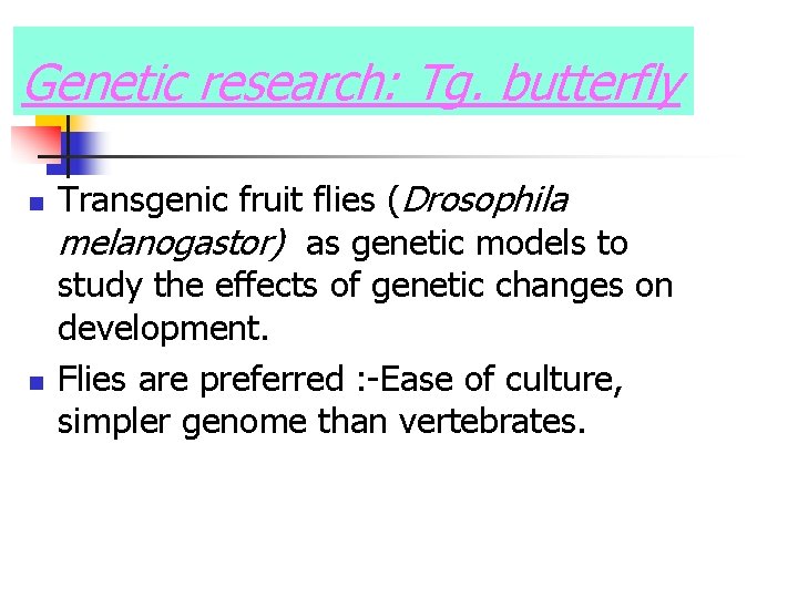 Genetic research: Tg. butterfly n n Transgenic fruit flies (Drosophila melanogastor) as genetic models