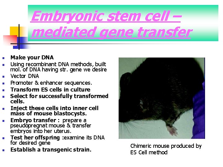 Embryonic stem cell – mediated gene transfer n n n n n Make your