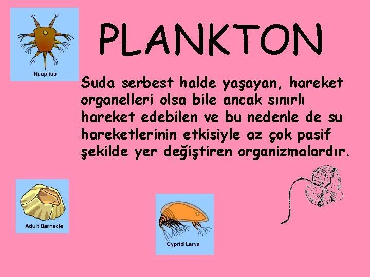 PLANKTON Suda serbest halde yaşayan, hareket organelleri olsa bile ancak sınırlı hareket edebilen ve