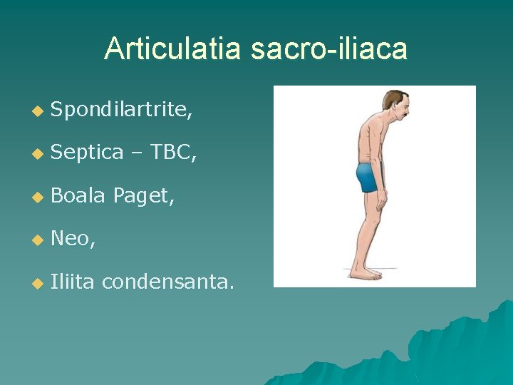 Articulatia sacro-iliaca u Spondilartrite, u Septica – TBC, u Boala Paget, u Neo, u