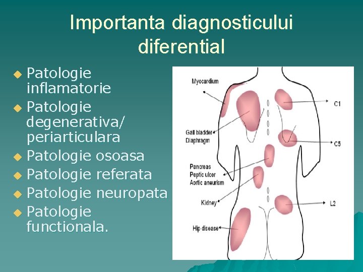 Importanta diagnosticului diferential Patologie inflamatorie u Patologie degenerativa/ periarticulara u Patologie osoasa u Patologie