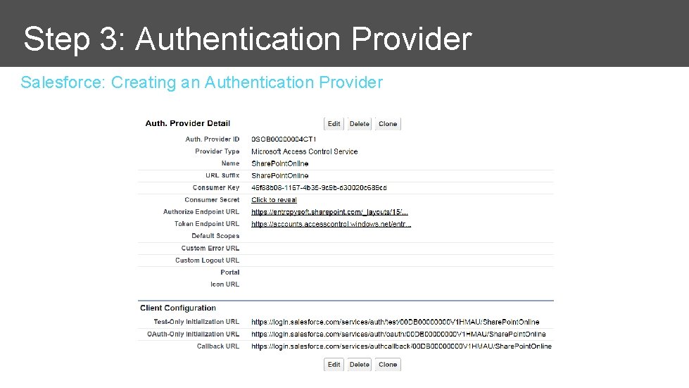 Step 3: Authentication Provider Salesforce: Creating an Authentication Provider 