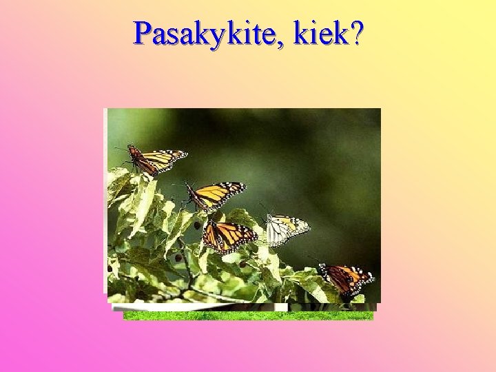 Pasakykite, kiek? 