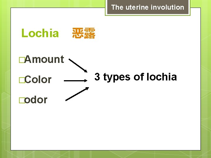The uterine involution Lochia 恶露 �Amount �Color �odor 3 types of lochia 