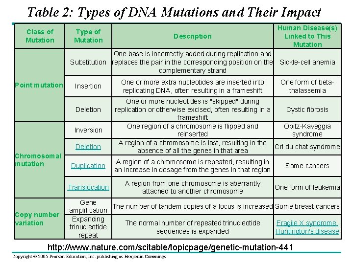 Table 2: Types of DNA Mutations and Their Impact Class of Mutation Type of