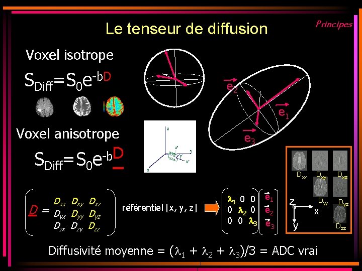 Principes Le tenseur de diffusion • Voxel isotrope SDiff=S 0 e-b. D e 2 Principes Le tenseur de diffusion • Voxel isotrope SDiff=S 0 e-b. D e 2