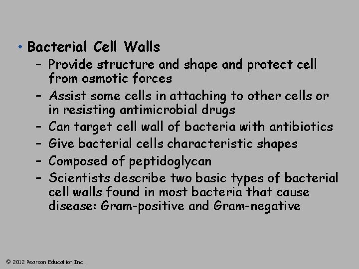  • Bacterial Cell Walls – Provide structure and shape and protect cell from