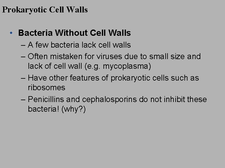Prokaryotic Cell Walls • Bacteria Without Cell Walls – A few bacteria lack cell