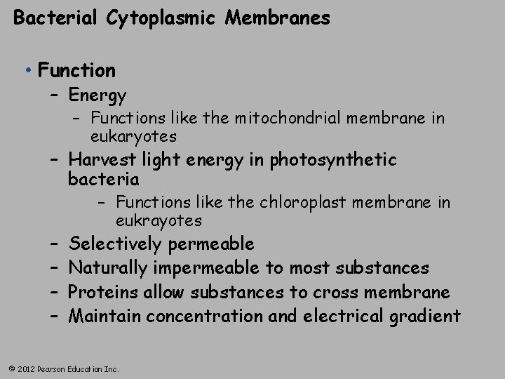 Bacterial Cytoplasmic Membranes • Function – Energy – Functions like the mitochondrial membrane in
