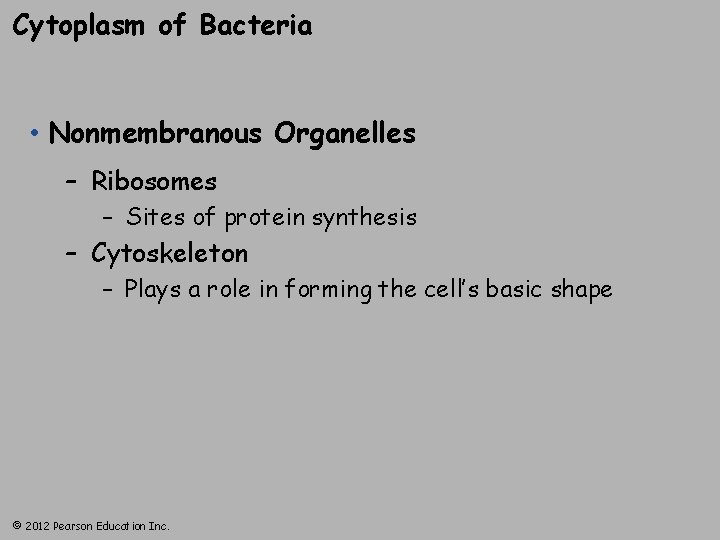 Cytoplasm of Bacteria • Nonmembranous Organelles – Ribosomes – Sites of protein synthesis –