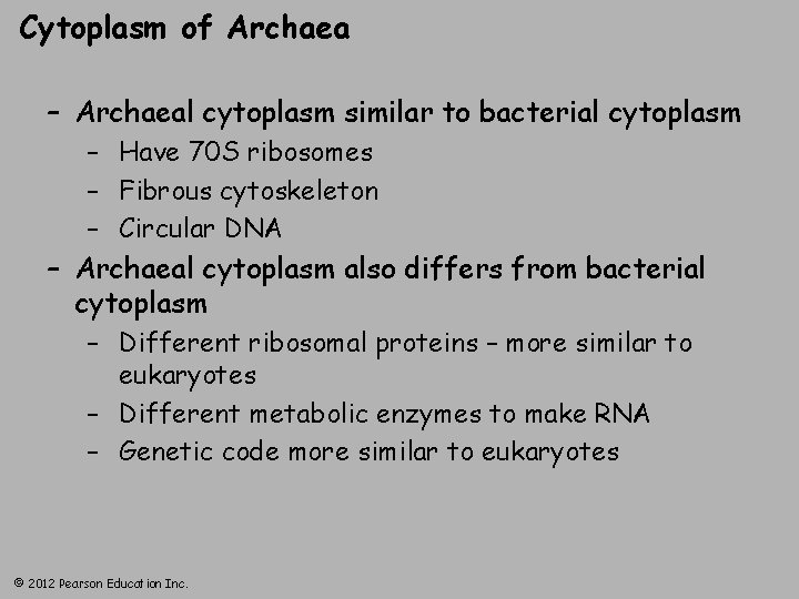 Cytoplasm of Archaea – Archaeal cytoplasm similar to bacterial cytoplasm – Have 70 S